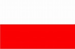 Bandera de Polonia PNG Imagenes gratis 2023 | Busco PNG