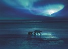 Frozen Planet 2 - BBC Earth