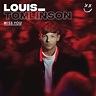 Miss You - song and lyrics by Louis Tomlinson | Spotify