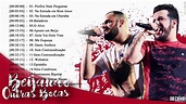 Top 20 Melhores Músicas De Diego e Victor Hugo Melhor Álbum De Músicas ...