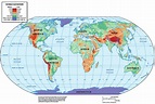 World Elevation Map | Download Scientific Diagram