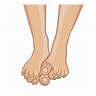 Female feet, barefoot, front view. One foot lying on the other. Healthy ...