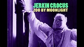 Jerkin Crocus 'Zoo By Moonlight' - YouTube