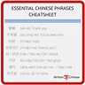 85 Useful Chinese Phrases and Sentences for Newbies and Travelers