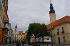 The Best Things to See and Do in Zielona Góra, Poland