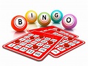 7 Tips for Bingo Beginners - Poker Bankroll Blog