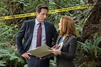 ‘The X-Files’ Season 10, Episode 3: Mulder Rediscovers His Monster Mojo ...