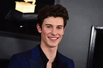 Shawn Mendes - Biography, Height & Life Story | Super Stars Bio
