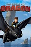 How to Train Your Dragon (2010) - Posters — The Movie Database (TMDB)