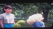 Los muppets toman nueva york 1984 latino - YouTube