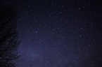 File:Night Sky Stars Trees 03.jpg - Wikimedia Commons