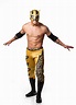 Lince Dorado Wrestler, Speedo, The Originals, Swimwear, Create, Fashion ...