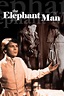 The Elephant Man (TV Movie 1982) - IMDb