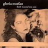 Gloria Estefan - Don't Wanna Lose You (1989, Vinyl) | Discogs