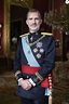 Le roi Felipe VI d'Espagne - Photos officielles des membres de la ...