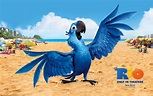 Blu the Macaw on the Beach in Rio Desktop Wallpaper