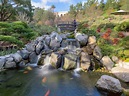 Experience the Tranquility of the Japanese Friendship Garden