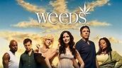 Weeds: Season One Review | TV Show - Empire