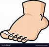 Foot cartoon icon Royalty Free Vector Image - VectorStock