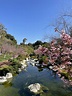 View from the Japanese Friendship Garden 3/14/21 : r/sandiego