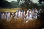 Spencer Tunick Marks Mexico's Day Of The Dead With Usual Battalion Of ...