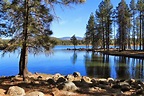 A Local's Guide: Best Things to do in Pinetop Arizona - Simply Wander ...