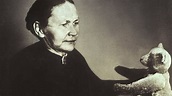 Margarete Steiff, Unternehmerin (Geburtstag, 24.07.1847) - WDR ...