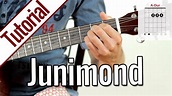 Rio Reiser/Echt - Junimond | Gitarren Tutorial Deutsch - YouTube