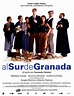 Al sur de Granada (2003) - FilmAffinity