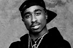 Tupac Shakur Life, Legacy to Be Subject of Massive Exhibit
