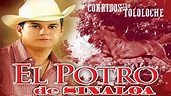 El Potro De Sinaloa Exitos - Corridos Con Tololoche Mix 2023 - Lo Mejor ...