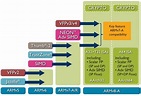 The ARMv8-A architecture and its ongoing development - Architectures ...