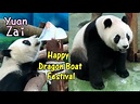 大萌娃圓仔慢慢饗用三個大冰粽慶端午,Part 1,Giant Panda Yuan Zai eats ice zongzi ,so cute ...