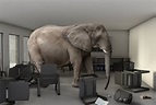 Embracing the Elephant in the Room — Horizon Leadership