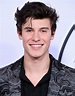 Shawn Mendes Wins Big At 2018 iHeartRadio MMVAs - The Hollywood Digest