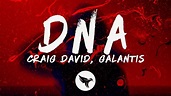 Galantis & Craig David - DNA (Lyrics) - YouTube