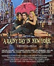 A Rainy Day In New York (2019) [1164 x 1400] | New york movie, Best ...