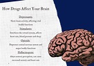 Your Brain On Drugs: How the Damage Is Done and How to Undo It ...