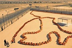 'Human Centipede 3' Trailer Gives Us That 500-Person Centipede We Were ...