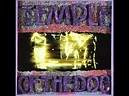 Temple of the Dog - Say Hello 2 Heaven [HQ vinyl] - YouTube