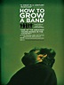 Poster zum Film How to Grow a Band - Bild 1 auf 1 - FILMSTARTS.de