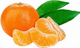 Download Tangerine - Tangerine Png PNG Image with No Background ...