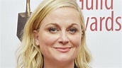 What Most People Don't Know About Amy Poehler