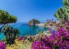 Visit Ischia, Italy | Tailor-Made Ischia Trips | Audley Travel