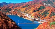 Outono em Fukui, reserva nacional com muitas riquezas naturais - AZ Blog