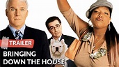 where can i watch bringing down the house - pointervssetter