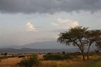 Queen Elizabeth National Park, Uganda Uganda Africa, Reference Images, Wren, Cheryl, Queen ...