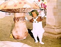 An Oompa Loompa From Willy Wonka & the Chocolate Factory | Roald Dahl ...