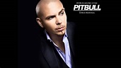 Give Me Everything- Pitbull (feat. Ne-Yo + Afrojack Nayer) (OFFICIAL ...
