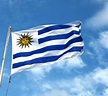 Imagen relacionada bandera de uruguay | Uruguay, Flags of the world ...